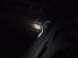 Sanca 2,5 Meter Ngumpet di Atap Rumah Warga Nglipar Usai Mangsa Ayam