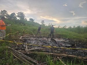 Dugaan Karyawan Perusahaan Sawit Bakar 50 Rumah Tani gegara Sengketa Lahan