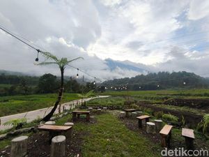Sensasi Ngopi di Tengah Sawah dengan Pemandangan Ciremai