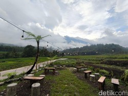 Sensasi Ngopi di Tengah Sawah dengan Pemandangan Ciremai