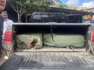 BNN Tangkap 3 Orang Jaringan Narkoba Aceh-Medan, 200 Kg Ganja Disita