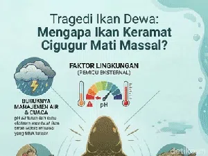 Tragedi Kematian Massal Ikan Dewa di Kuningan