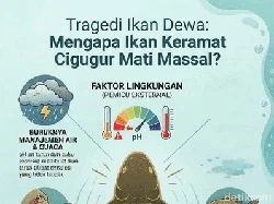 Tragedi Kematian Massal Ikan Dewa di Kuningan