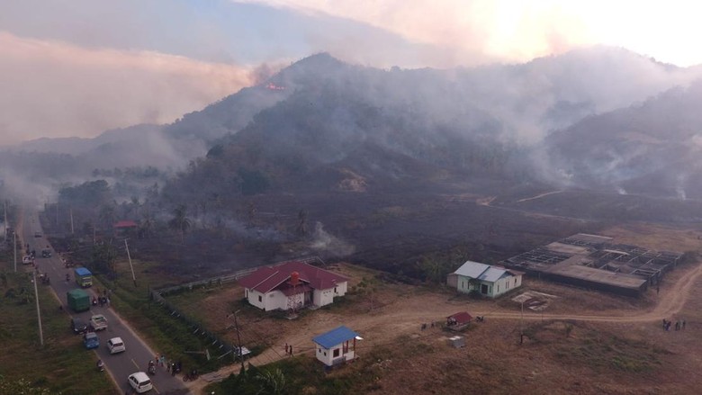 Karhutla di Parimo Meluas 147 Hektare, 334 Personel Dikerahkan Padamkan Api