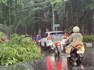 Hujan Angin Melanda Surabaya: Pohon Tumbang, Genting Beterbangan