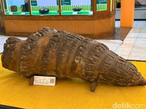 15 Ribuan Orang Kunjungi Museum Sang Nila Utama, 2 Koleksi Ini Jadi Buruan