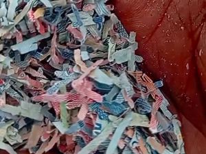 Heboh Temuan Cacahan Kertas Diduga Uang Rp 100 Ribu di TPS Liar Bekasi