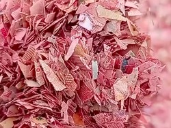 Awal Penemuan Cacahan Uang Rp 50 Ribu-Rp 100 Ribu di TPS Liar Bekasi