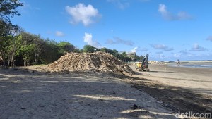 Truk Terbatas, Sampah Kiriman Masih Menggunung di Pantai Kuta