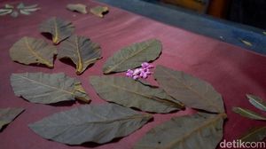 Batik Ramah Lingkungan Karya Pensiunan ASN Tembus Pasar Dunia