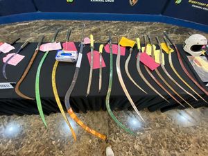 Video: Tren Aksi Tawuran Turun saat Operasi Pekat 2026 Polda Metro Jaya