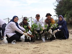 Polisi dan Forkopimda Tanam Mangrove hingga Bersih-bersih Pantai Pulau Tidung