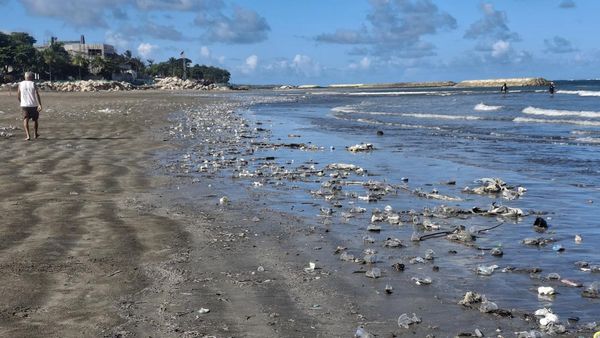 Disorot Prabowo, Lihat Potret Kotornya Pantai di Bali gegara Sampah Kiriman