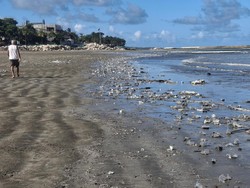 Video Pantai Kuta Bali Pagi Ini Setelah Prabowo Sentil soal Sampah