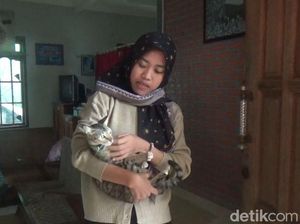 Penendang Mintel Sempat Tawari Korban Kucing Persia, Langsung Ditolak