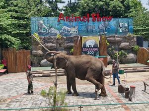 Semarang Zoo Setop Wahana Tunggang Gajah Mulai Tahun Ini