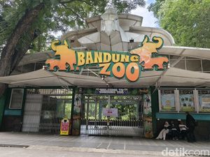 Kemenhut Cabut Izin Konservasi Pengelola Bandung Zoo!