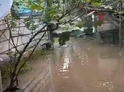 Sungai Sembatu Meluap, 50 Rumah di Musi Rawas Terendam Banjir