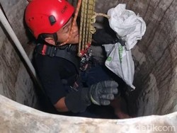 Kucing Semalaman Nyemplung Sumur 15 Meter di Boyolali, Ditolong Damkar