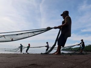 Nelayan Dukung Pasokan, Stok Ikan Nasional Dijaga Jelang Ramadan