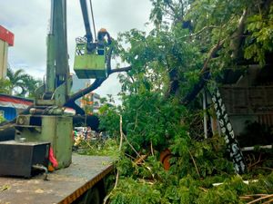 Pohon Tumbang Timpa Warkop-Gerobak Bakso di Bontoala Makassar