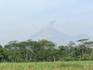 Semeru Erupsi 5 Kali, Abu Vulkanik Membubung hingga 1 Km