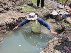 Heboh Temuan Terowongan Kuno di Proyek Koperasi Merah Putih Indramayu