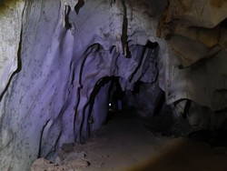 Gua Tersegel 40 Ribu Tahun Dibuka, Ungkap Neanderthal Sudah Canggih