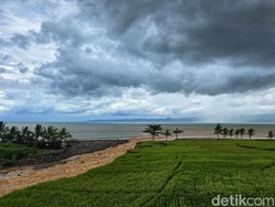 Heboh Fenomena Lautan Kopi Susu di Teluk Palabuhanratu