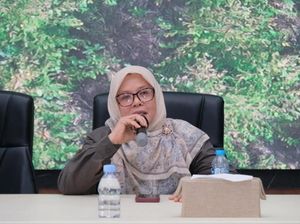 BKSDA Ungkap Gajah Mati di Riau Alami Trauma Kepala Akibat Luka Tembak