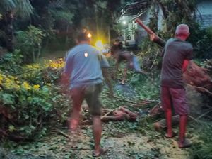 Pemotor Luka Parah Tertimpa Pohon Tumbang di Karangasem