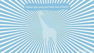 Cek Ketajaman Mata di Sini! Banyak yang Tak Bisa Temukan Detailnya