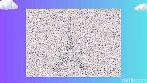 Mari Berwisata Lewat Tes Buta Warna, Bisa Jawab Semua atau Masih Keliru?