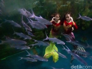 Almira dan Mayla: Menghidupkan Dongeng Bawah Air