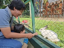 8 Tempat Wisata Binatang di Bandung, Cocok untuk Keluarga dan Anak-anak