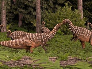 Profesor Ini Simpan Jejak Kaki Dinosaurus Selama 60 Tahun, Kini Diidentifikasi