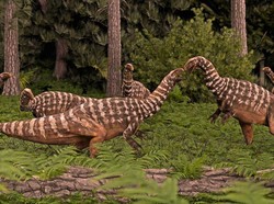 Profesor Ini Simpan Jejak Kaki Dinosaurus Selama 60 Tahun, Kini Diidentifikasi