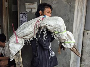 Niat Pria di Jakbar Jual Biawak Berujung Viral Dikira Panggul Mayat