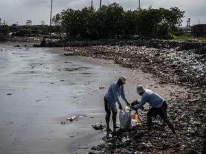 Guru Besar IPB Sebut Kondisi Laut di Indonesia Makin Memprihatinkan, Ini Alasannya