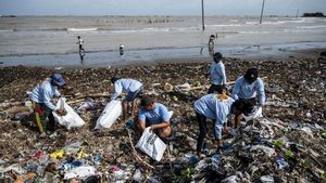 Warga Tambak Lorok Kompak Bersihkan Sampah Pantai