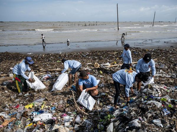 Warga Tambak Lorok Kompak Bersihkan Sampah Pantai