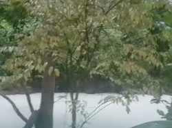 Ngerinya Kebakaran Pabrik Pestisida di Tangsel hingga Cemari Sungai