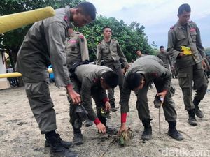 Aksi Sapu Bersih Ratusan Brimob di Pantai Pasir Putih Situbondo