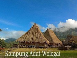Desa Adat Wologai di Ende NTT: Keunikan Rumah Adat dan Tradisi Suku Lio