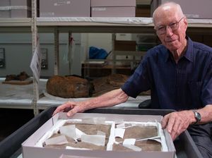 Bocah SMA Simpan Batu yang Ternyata Fosil Jejak Dinosaurus Tertua