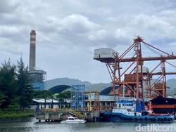 Hutan dan Laut dalam Rantai Biomassa, Siapa yang Diuntungkan?