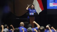 Merry Riana Usai AHY Singgung Jadi Jurkam Partai: Saya Siap Belajar