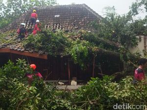 Hujan-Angin Terjang Juwiring Klaten, Pohon Tumbang Timpa Rumah