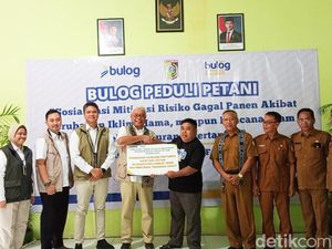 Mitigasi Gagal Panen, Ratusan Hektare Lahan Padi di Lombok Timur Dapat Asuransi