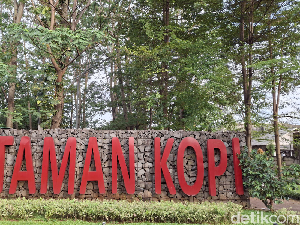 Kisah Taman Kopi di Pasar Rebo, Dulu Hutan Kopi, Kini Tersisa Satu Pohon